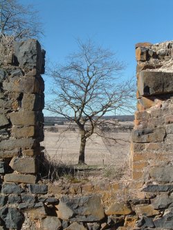 Abandoned Farm Stables