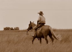 Man Of The Land
