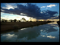 Burkes Backyard
