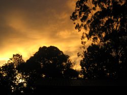 One Sunset
