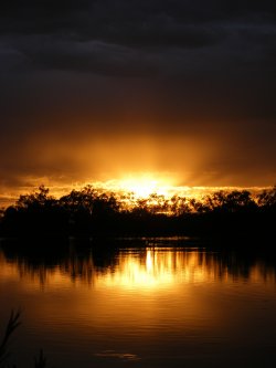 Sunrise Radiance