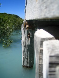 Streeters Jetty