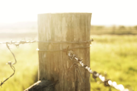 Fencing
