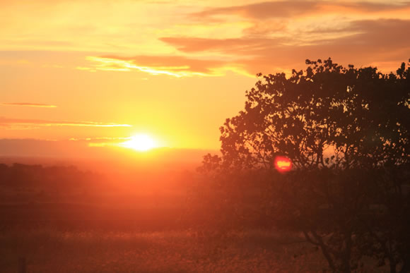 August Sunset