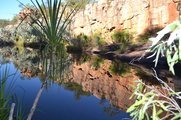 Reflection At Manning Gorge