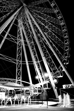 The Wheel Of Brisbane