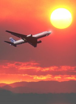 Last Flight