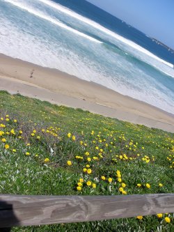 First Day Of Spring