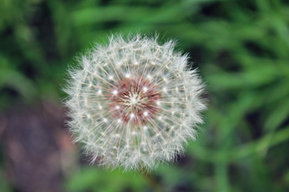 A Beautiful Spring