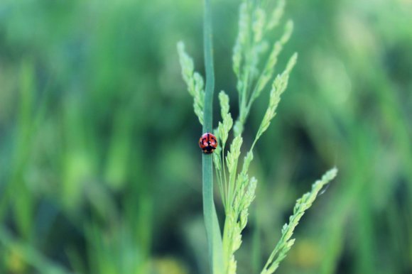 The Beauty Of Nature