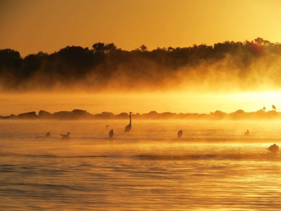 Winter Sunrise