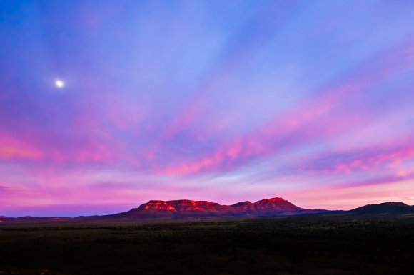 Wilpena Sunrise