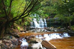 Whispering Waters