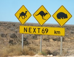 Nullarbor Warning
