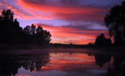Sunrise At The Creek