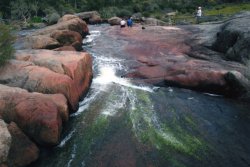Aussie Wilderness