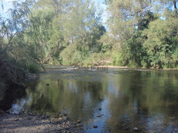 Running Rapids