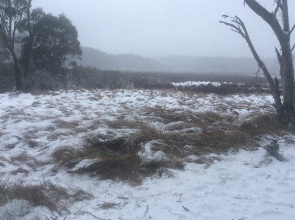 Snow Time At Barrington Tops