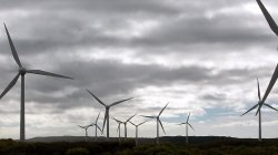 Wind Farm