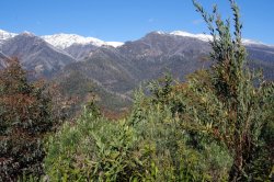 Mountain View At Olsen's Lookout