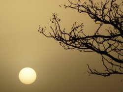 Strange Sunset