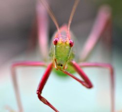 Having A Snack