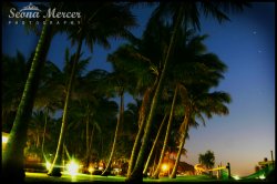 Tangalooma By Night.