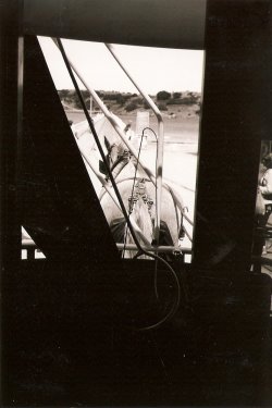 Horsedrawn Tram