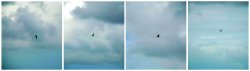 Fly Away