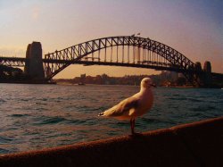 Sydney Harbour Bridge