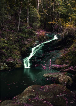 Picnic Falls