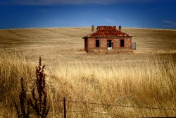 Midnight Oil House