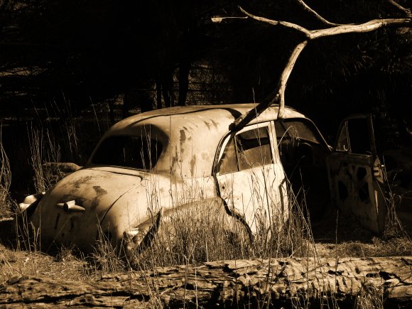 Derelict Beauty