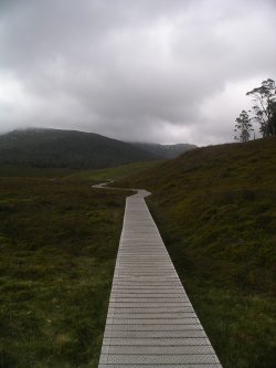 Cradle Mountain Walk