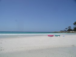 Perfect Day