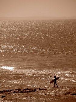 Seaside Escape