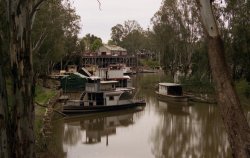 Paddle Steamers On The Murray