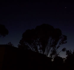 Welcome The Night