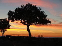 Sunset