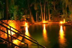 Midnight Swim