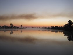 Sugar Cane Burning In The Early Morning