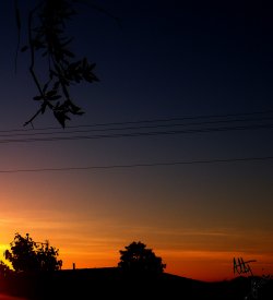 The Beautiful Wonder