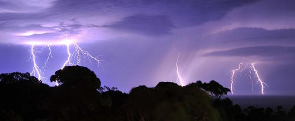 Electric Beauty