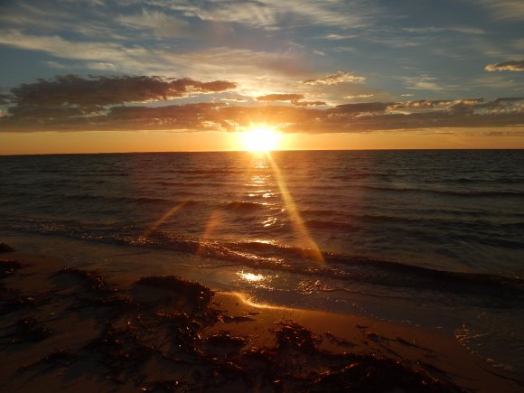 Life = The Beach