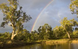 Rainbow Over The Condamine
