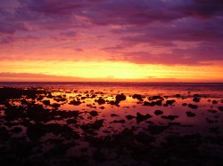 Majic Of Exmouth