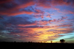 Nannine Sunset