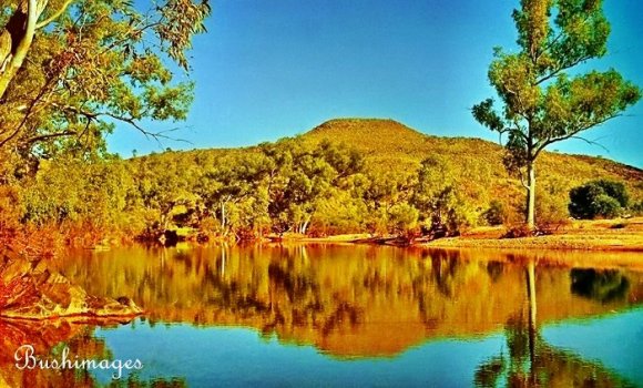 Pilbara Reflections 