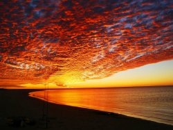 Sunset Fishing
