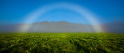 Rainbow At Jilliby